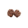 Gaurishankar Rudraksha